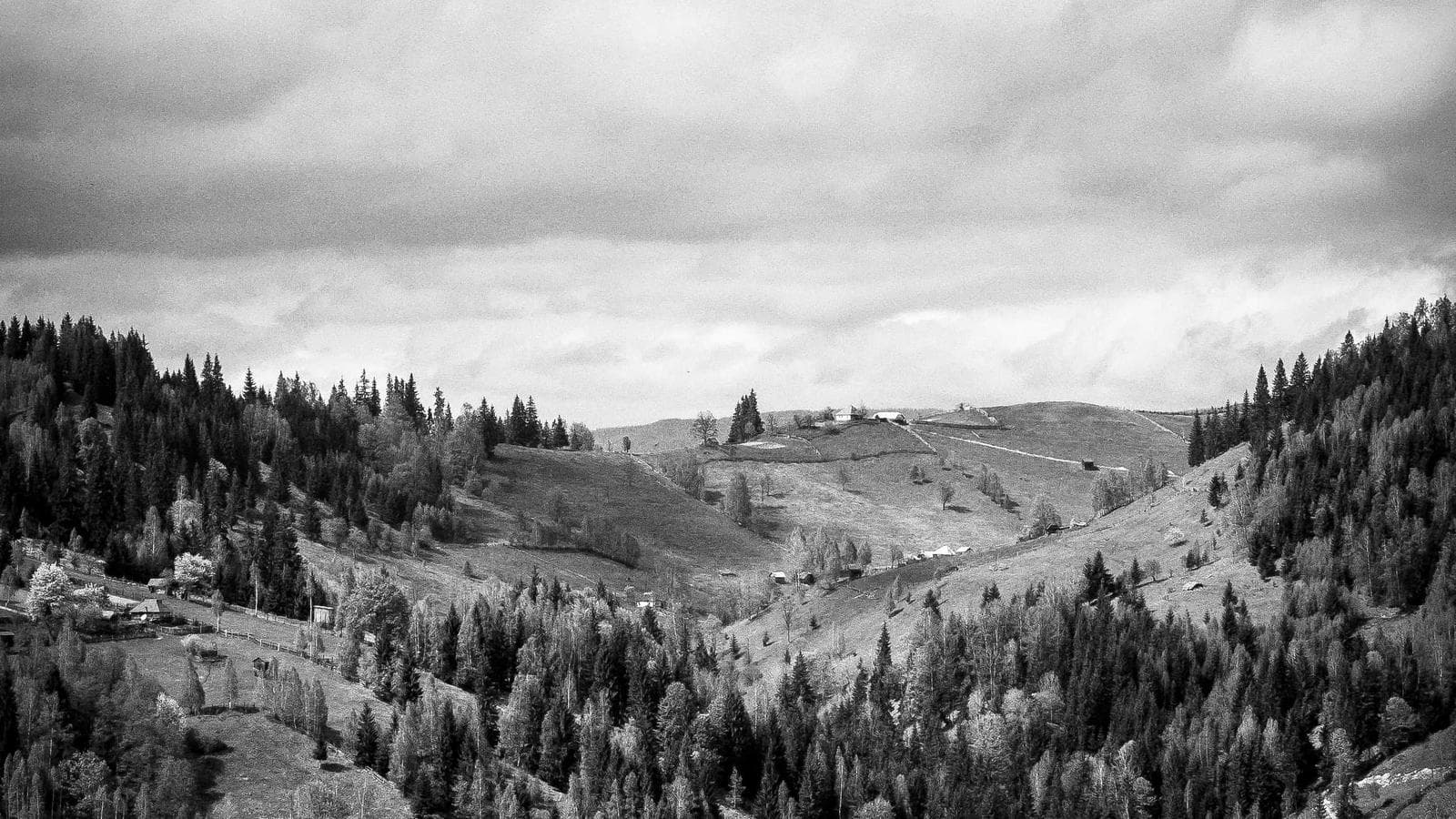 Overview